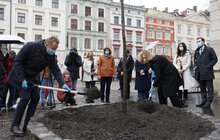 Фото 2: Мер Львова та тимчасово повірена у справах США в Україні спільно висадили на пл. Ринок рожевоквітний каштан