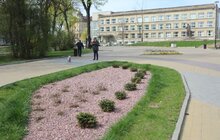 Фото 16: У Львові висаджують квіткові композиції