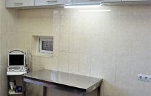Фото 2: ЛКП «Лев» відновило свою роботу в повному обсязі після двотижневого карантину
