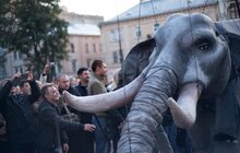 Фото 21: Карнавальною ходою у Львові розпочався «Золотий Лев на вулиці – 2017»
