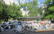 Фото 88: У місті 265 майданчиків, де ситуація з вивезенням сміття критична 