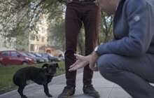 Фото 26: На пр. Червоної Калини облаштували новий громадський простір