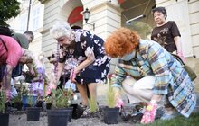 Фото 13: На площі Ринок стартував другий сезон Львівського фермерського ярмарку