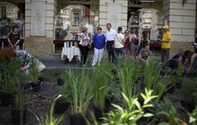 Фото 20: На площі Ринок стартував другий сезон Львівського фермерського ярмарку