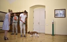 Фото 5: Мер Львова долучився до щорічної акції «Візьми собаку на роботу»