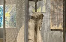 Фото 5: У Львові відкрили мультимедійний виставковий проєкт «Музи не мовчать»