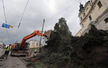 Фото 2: Біля Органного залу сьогодні зрізають ялинки, на їх місці висадять 15 нових дерев