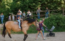 Фото 42: Міжнародний день музеїв у Львові відвідали майже 13 тисяч осіб
