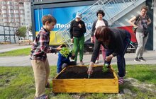 Фото 19: У Львові мешканці модульного містечка висадили грядки