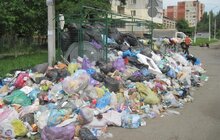 Фото 46: У Львові на кінець дня переповненими є 285 майданчиків у 4 районах міста