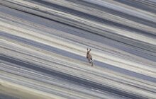 Фото 13: У Львові завершили найскладніший етап рекультивації Грибовицького полігону (відео)