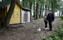 Фото 3: У парку ім. Івана Павла ІІ облаштують майданчик для вигулу собак