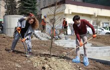 Фото 5: Біля корпусу реабілітації НЕЗЛАМНІ ростимуть дерева трьох міністерств та Червоного Хреста