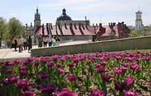 Фото 7: Переймати досвід Львова та впроваджувати його в інших містах України: резиденція ідей у Львові