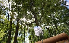 Фото 6: Алея пам'яті Героїв: у львівському парку родичі загиблих військових висадили дерева пам'яті