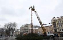 Фото 8: Головну ялинку Львова відвезли на компостування (відео)
