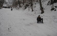 Фото 4: У Львові відбулася першість УДЮМК Шевченківського району зі спуску на санка