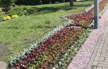 Фото 1: Комунальні служби продовжують миття міста