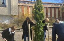 Фото 3: У Стрийському парку висадили нові дерева