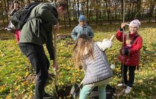 Фото 6: У Стрийському парку висадили нові дерева