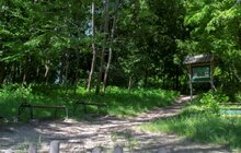 Фото 2: Інститут просвіти дослідив найцікавіші туристичні зупинки парку «Знесіння»