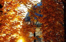 Фото 1: Підсумки конкурсу «Найкраща фотографія Львова»