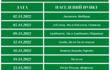 Фото 2: У ЛКП «Лев» оприлюднили графік виїздів бригади ловців безпритульних собак на листопад-грудень