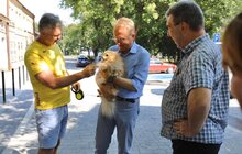 Фото 10: Ремонт вулиці Підрічної завершують, поруч облаштують сквер
