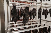 Фото 10: Міський голова Львова відвідав локальний фестиваль Street Food та відзначив підприємців ринку «Шувар» за вагомий внесок у розвиток малого бізнесу
