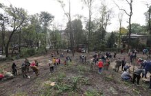 Фото 16: Сьогодні в одному із парків Львова висадили понад 400 дерев