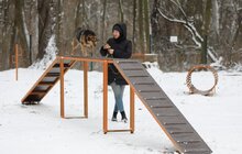 Фото 18: У Львові облаштували ще один тренувально-вигульний майданчик для собак