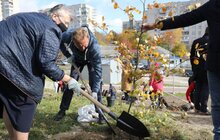 Фото 14: У Львові біля лікарні швидкої медичної допомоги висадили «Сад Здоров’я»