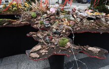 Фото 9: У Львові презентували особливу карту України із колючим дротом та закривавленими ляльками