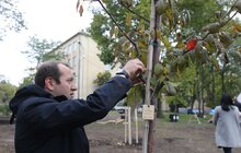 Фото 41: У Львові висадили 96 іменних дерев, присвячених загиблим Героям