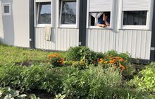 Фото 2: Овочі, квіти, пряні трави і навіть кавуни: що росте на городах мешканців модульного містечка