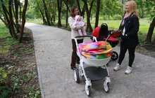 Фото 11: Реконструкція парку «700-річчя Львова»