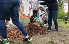 Фото 10: Біля ЛКП «Лев» облаштували перший в Україні сенсорний сад для собак