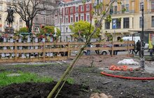 Фото 9: Минув перший рік роботи міських садівників у Львові