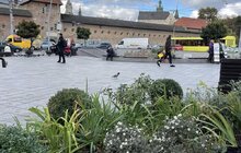 Фото 6: Санітарна обрізка, догляд та пересадка рослин: на площі Митній упорядкували клумби