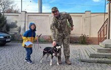 Фото 2: За місяць ЛКП «Лев» прилаштувало 27 тварин