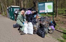 Фото 2: У Львівській громаді прибрали майже 50 га території та висадили понад 800 рослин