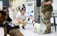 Фото 2: У Львові презентували UNBROKEN ANIMALS — першу в Україні системну програму емоційної підтримки ветеранів за участі собак