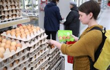 Фото 14: У Львові стартувала просвітницька кампанія «Без поліетилену»