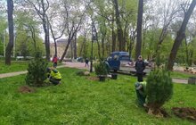 Фото 5: Львів'яни в межах акції 