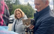 Фото 5: Майже 30 домашніх тварин провакцинували від сказу у Лисиничах