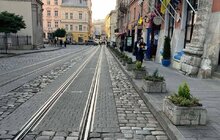 Фото 5: На площі Катедральній у Львові висаджують ялівець і кипариси