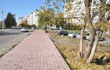 Фото 14: Роботи з будівництва велодоріжки на Рясному виконано на 70%