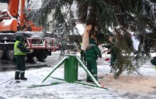 Фото 6: На площі перед Оперним театром встановили головну ялинку міста