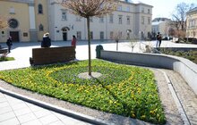 Фото 2: У районах Львова продовжують висаджувати квіткові композиції