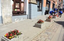 Фото 10: У районах Львова продовжують висаджувати квіткові композиції